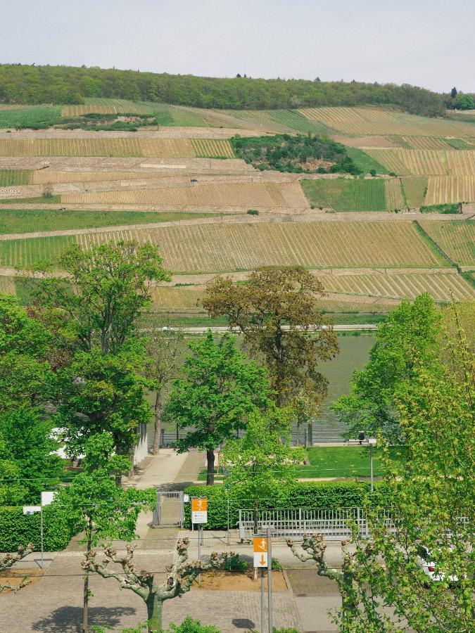 Rheinufer Am Hindenburgpark Apartment Bingen am Rhein Bagian luar foto